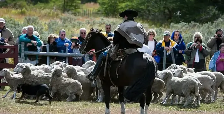 Patagonian ranch experience