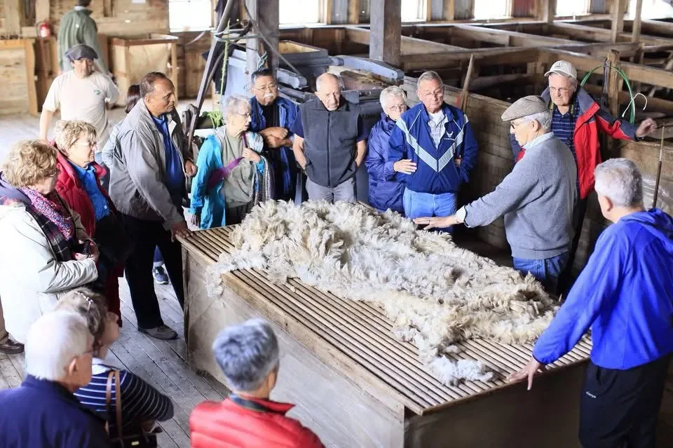 Patagonian ranch experience