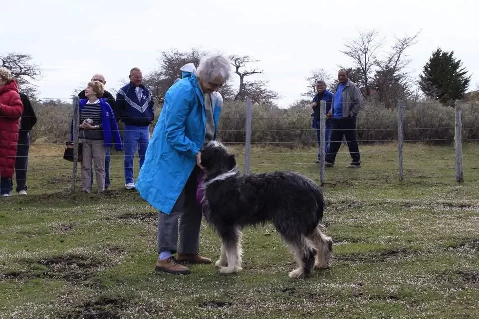 Patagonian ranch experience